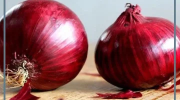 مشاهدة البصل