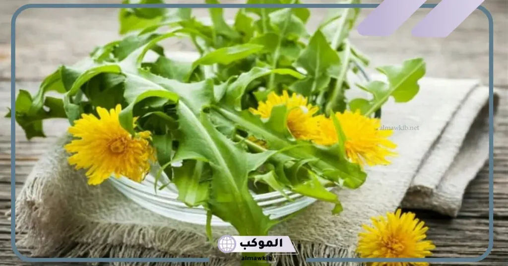 فوائد شاي الهندباء للنساء