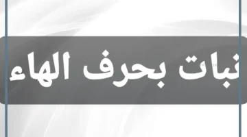 نبات بحرف الهاء