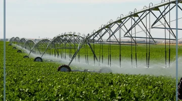 نظام العمل الزراعي