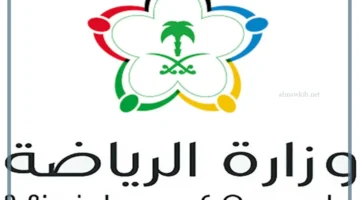 ابتعاث مبتدئ للتوظيف