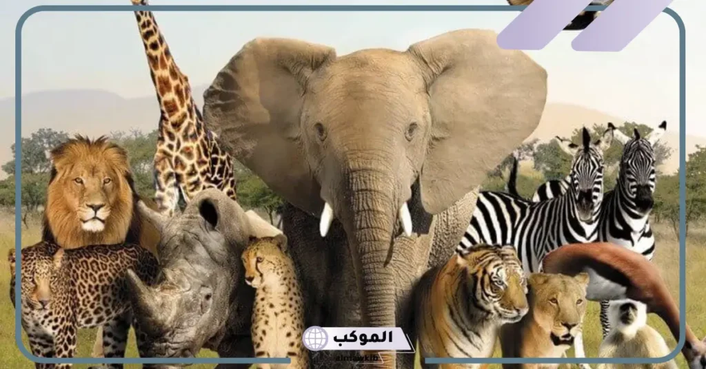 تفسير حلم الحيوانات المفترسة في المنام لابن سيرين 6 تفسير حلم الحيوانات في البيت