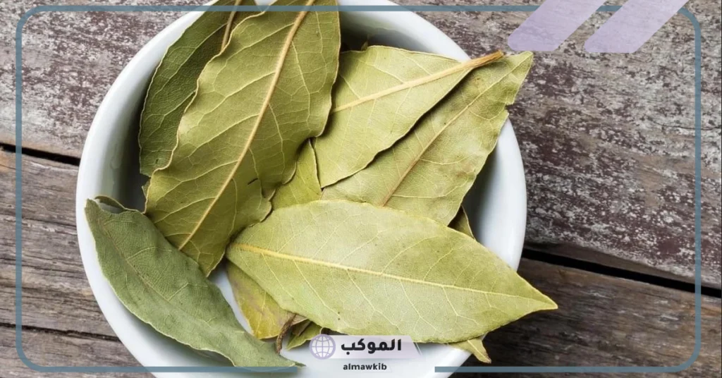 طريقة الوقاية من الإصابة بالعين 