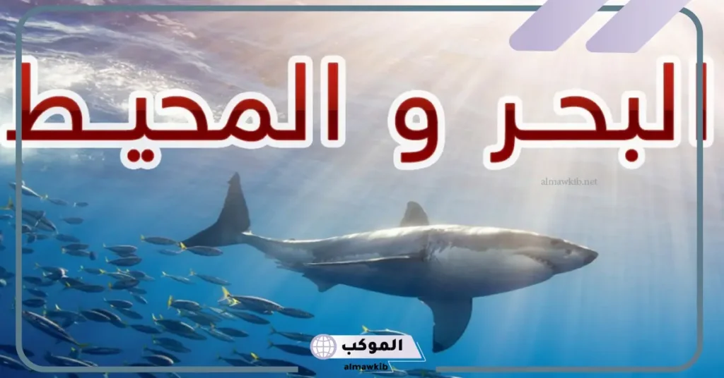 الفرق بين ملوحة البحر والمحيط 