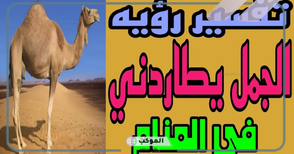 تفسير حلم رؤية الجمل في المنام يلاحقني للعزباء وفقًا لابن سيرين 5 رؤية الجمل يلاحقني في المنام للعزباء