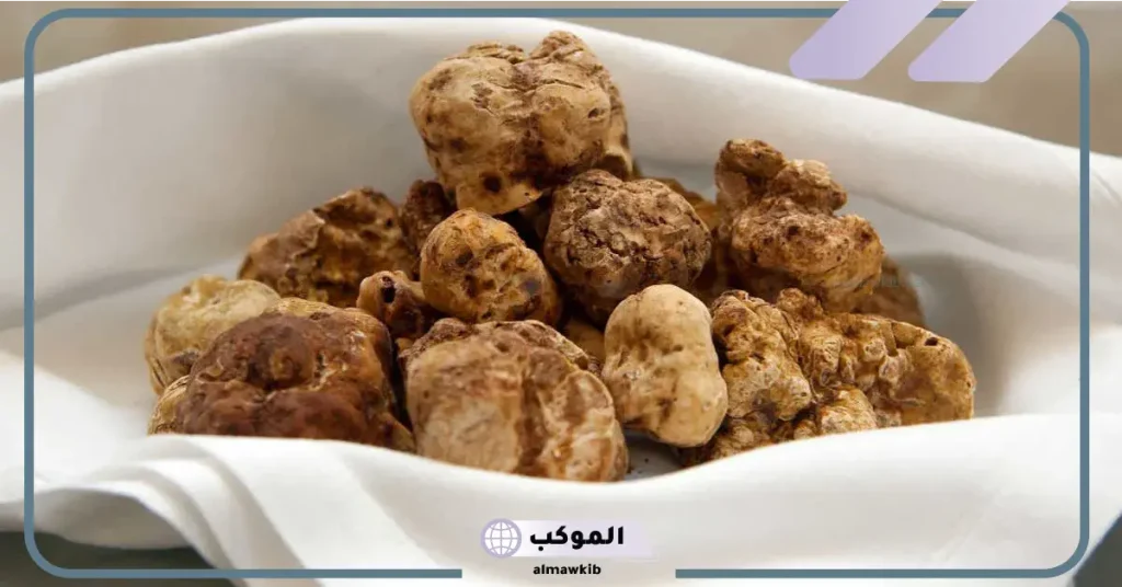 تفسير حلم الفقع في المنام للعزباء والمتزوجة والحامل لابن سيرين 6 تفسير حلم الفقع للعزباء