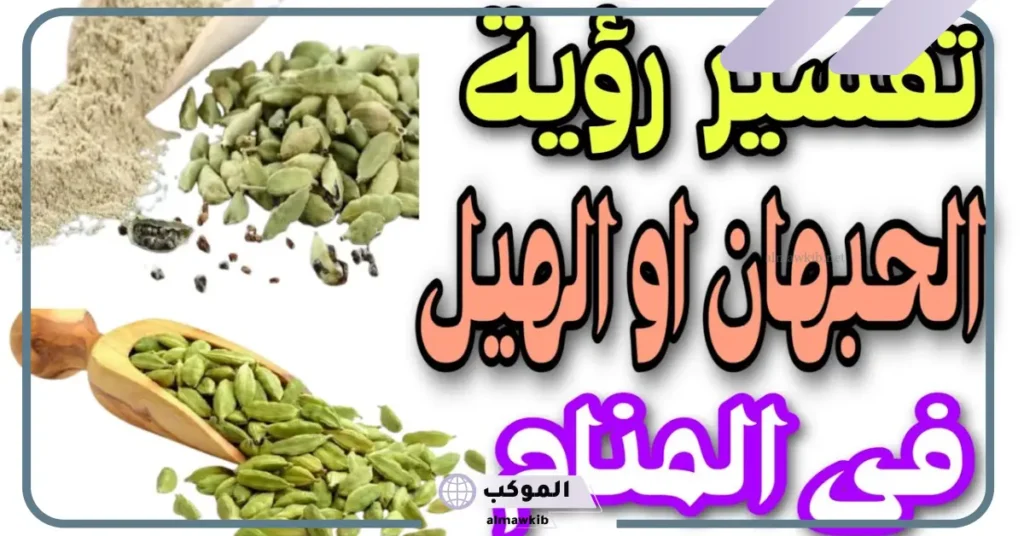تفسير حلم رؤية الهيل في المنام للمرأة والرجل لابن سيرين 6 تفسير الهيل في المنام للعزباء