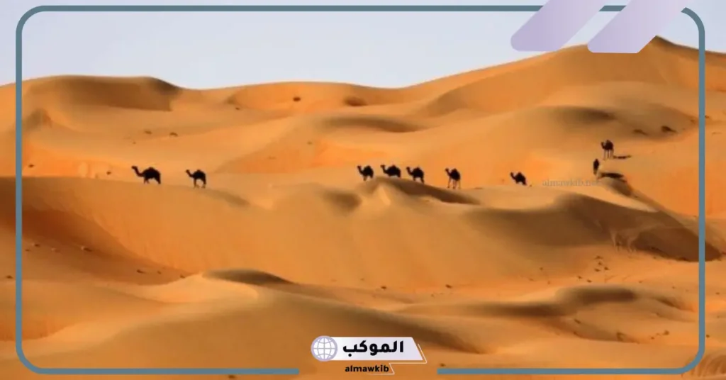 الرزقي وش يرجع الأصل والنسب.. عائلة الرزقي من وين 6 الرزقي من وين