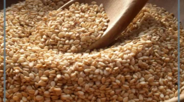 السمسم في الحلم