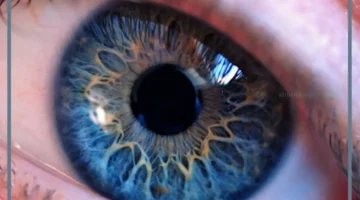 العين في المنام