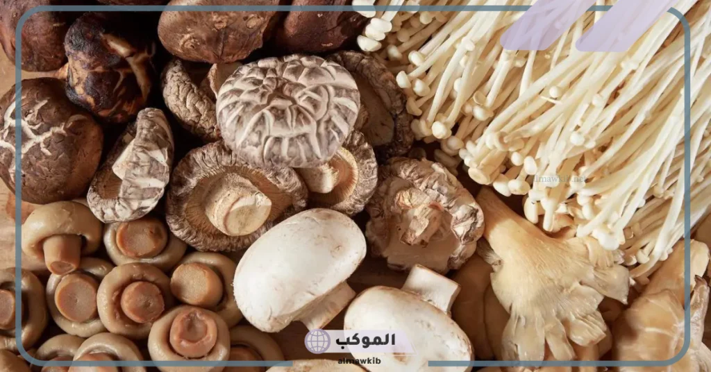 رؤية الفقع في المنام للمطلقة 