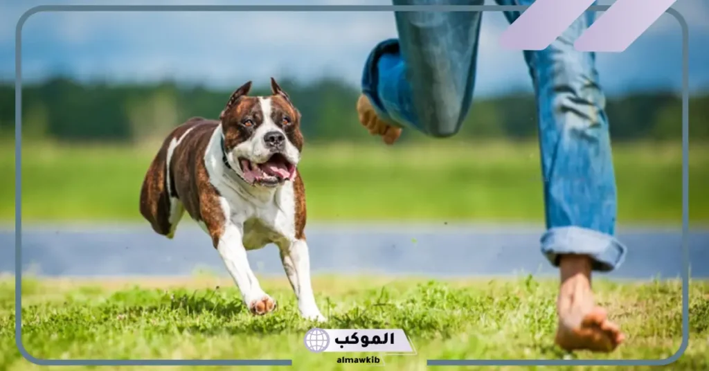 الهروب من الكلاب في المنام للرجل المتزوج 