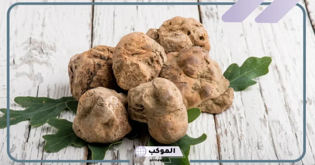 تفسير حلم جمع الفقع للمتزوجة