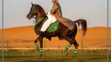 المصورة الضوئية يمن المنلا