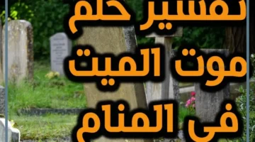 الموت للميت