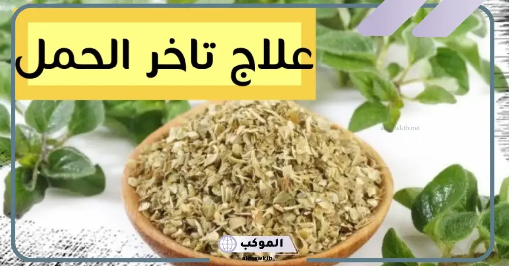 تجربتي مع البردقوش والتكيس في علاج المبايض 6 متى يبدأ مفعول البردقوش