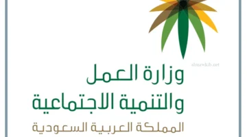 تأشيرات دولة بنغلاديش