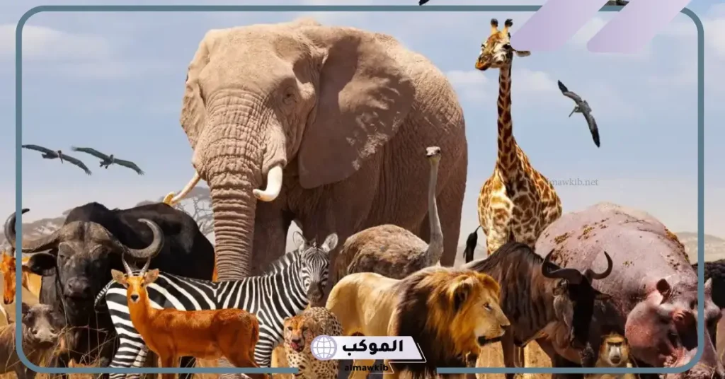 رؤية الحيوانات في المنام للمتزوجة