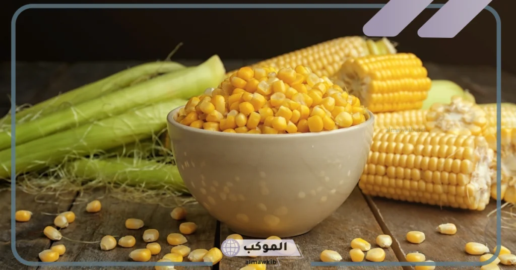 تفسير حلم رؤية الذرة في المنام وأكلها لابن سيرين 6 معنى إعطاء الذرة في المنام