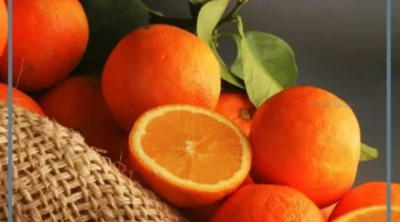 تفسير فاكهة البرتقال