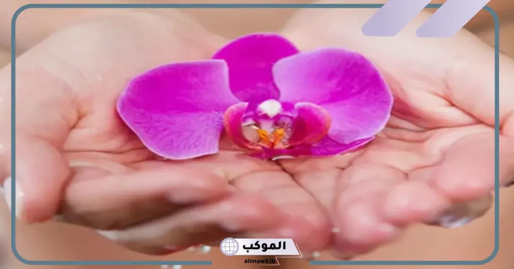 تفسير حلم الفرج النظيف للمتزوجة