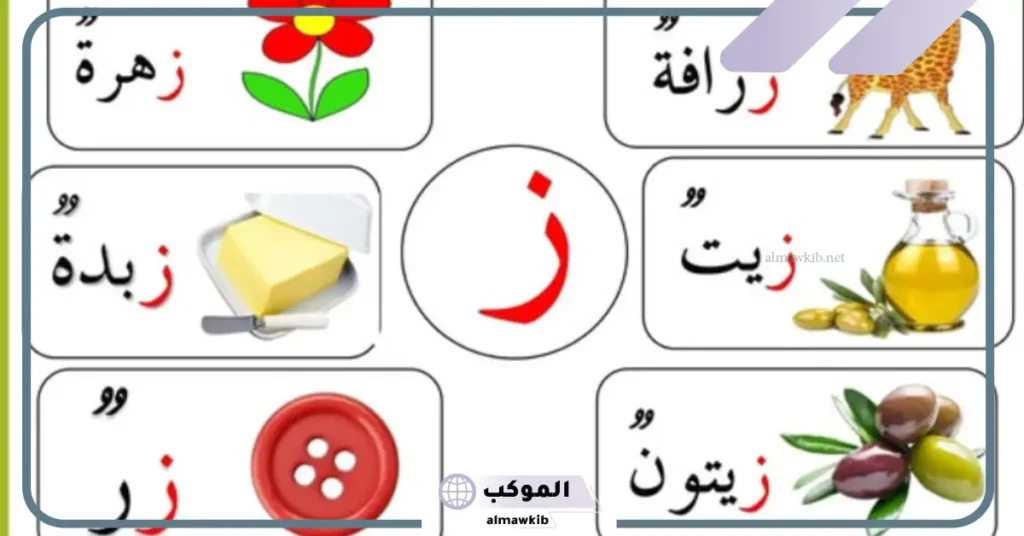 اشياء بحرف الزاء شهيرة.. كلمات تبدأ بحرف الزاي 6 فاكهة بحرف ز