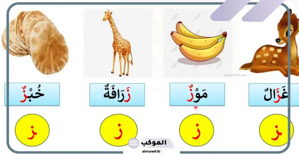اشياء بحرف الزاء شهيرة.. كلمات تبدأ بحرف الزاي 5 كلمات بحرف ز للاطفال
