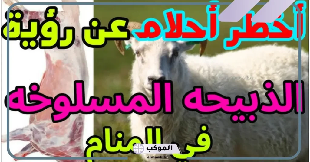 تفسير حلم الذبيحه المطبوخه في المنام لابن سيرين للعزباء والمتزوجة 5 رؤية الذبيحة في المنام للمتزوجة