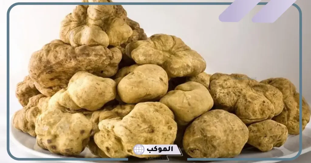 تفسير حلم الفقع في المنام للعزباء والمتزوجة والحامل لابن سيرين 5 تفسير حلم الفقع للرجل المتزوج