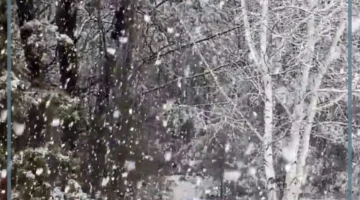 دلالات رؤية الثلج