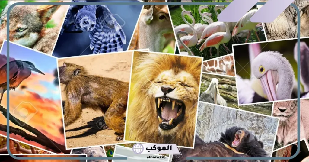 النجاة من الحيوانات المفترسة في المنام 