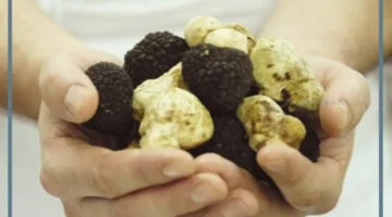 دلالة الفقع