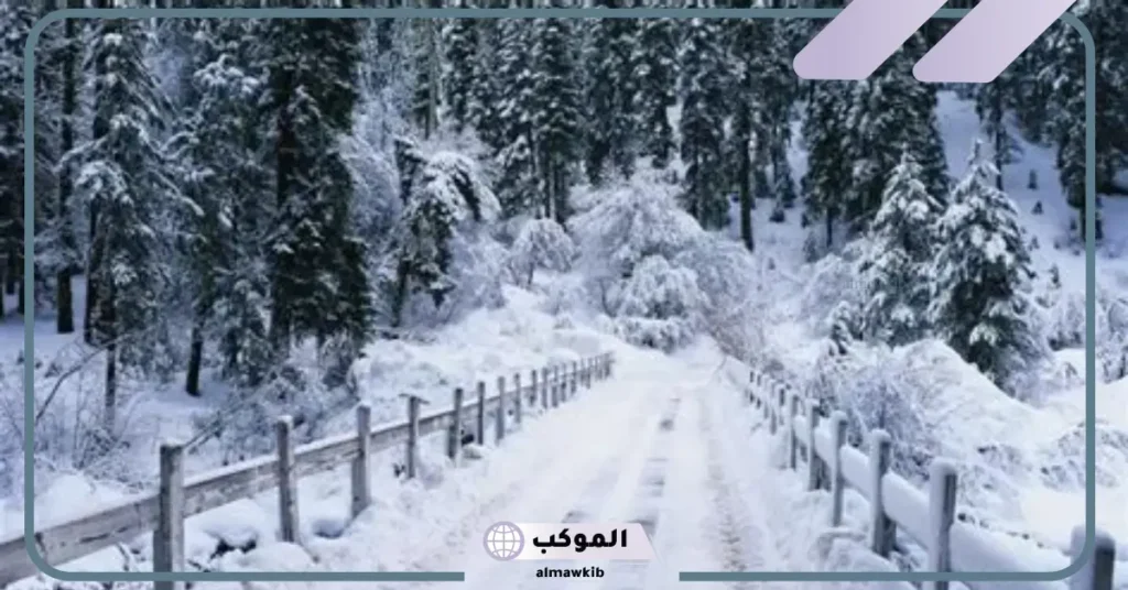 البرد في المنام بشارة خير