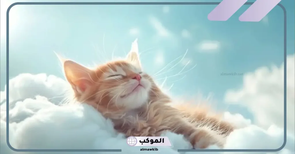 ما دلالة الحلم بالحيوانات لابن سيرين وكبار المفسرين 5 رؤية الحيوانات في المنام للعزباء