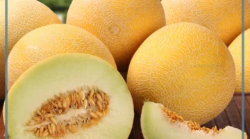 رؤية الشمام في المنام وتفسيرها