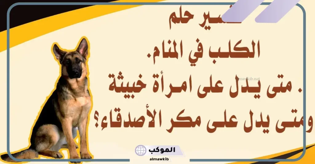 ما تفسير حلم رؤية الكلاب في المنام للعزباء لابن سيرين 5 تفسير رؤية الكلاب تلاحقني في المنام للعزباء