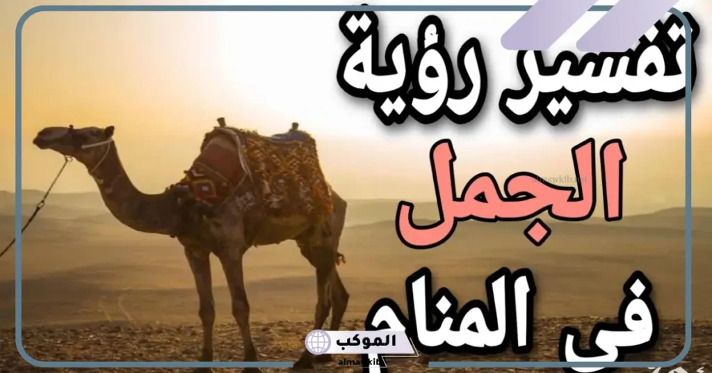 تفسير حلم الناقة تطاردني في المنام لابن سيرين والنابلسي 6 الخوف من الناقة في المنام