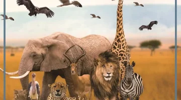 رمز الحيوانات في المنام