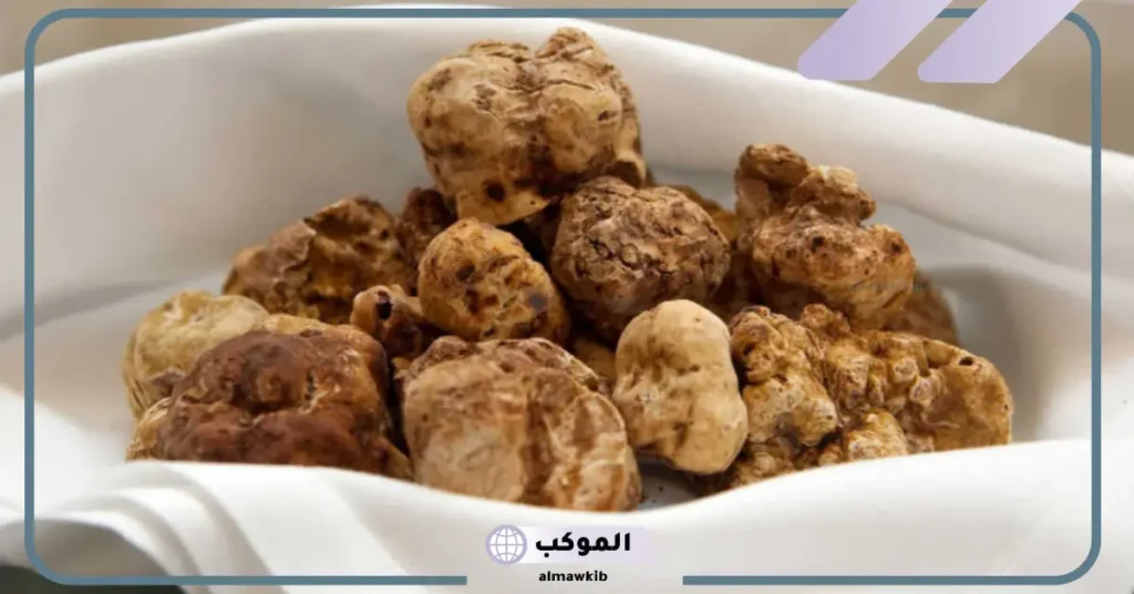 تفسير حلم الفقع للعزباء وجمعه في المنام وفقًا لابن سيرين 6 تفسير حلم جمع الفقع للحامل