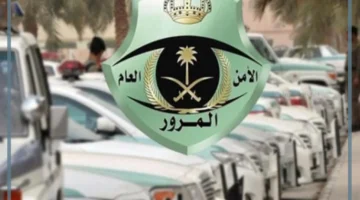 سداد المخالفات