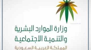 عقود توطين التشغيل