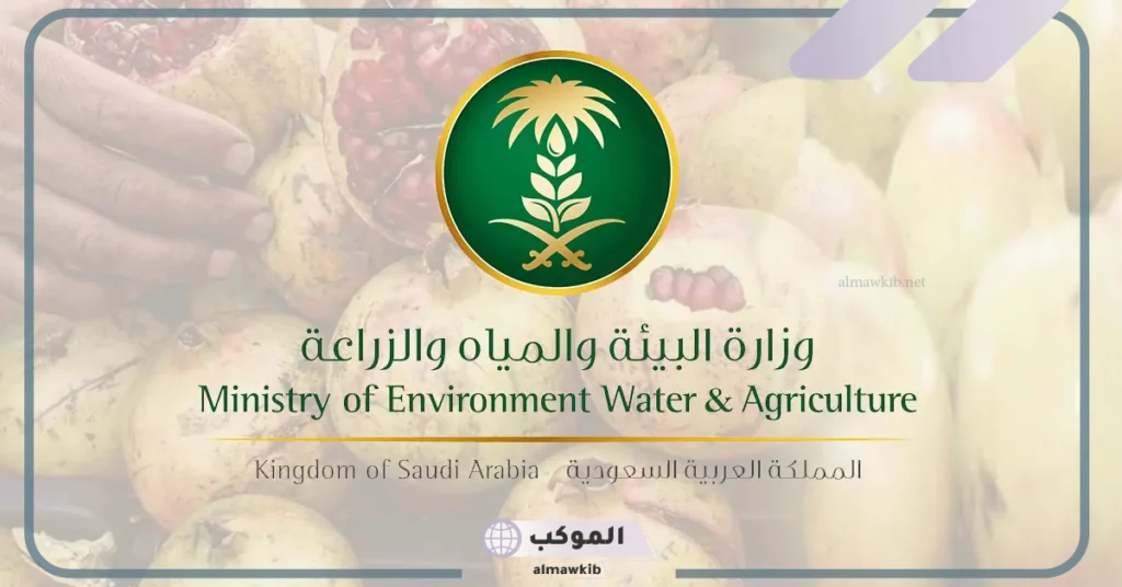 وزارة البيئة تحذر من بعض التصرفات التي ينتج عنها غرامة مالية كبيرة.. اعرف التفاصيل 