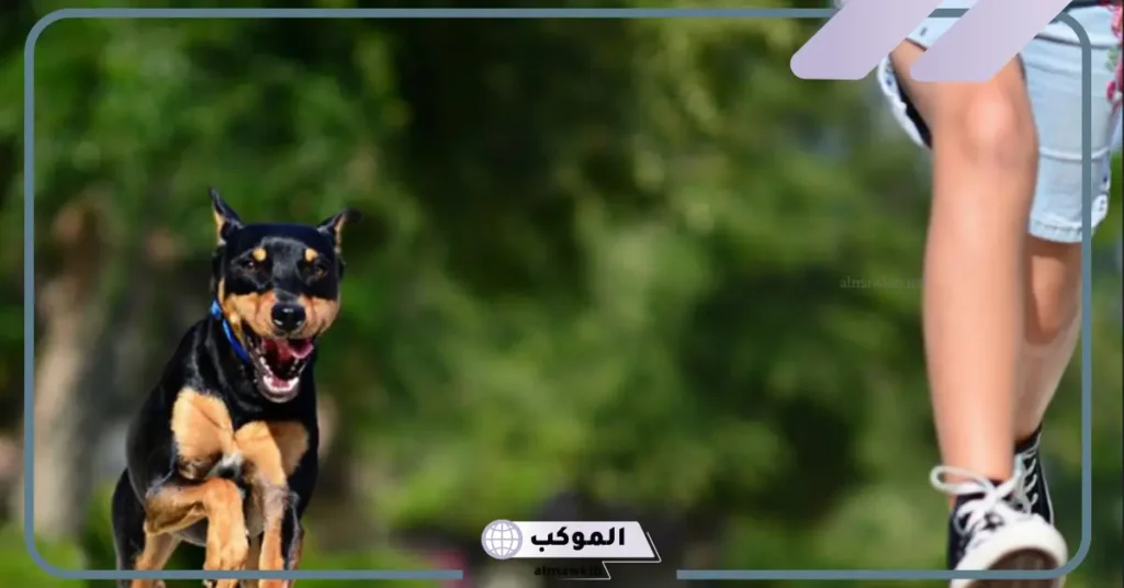 الهروب من الكلاب في المنام للمتزوجة 