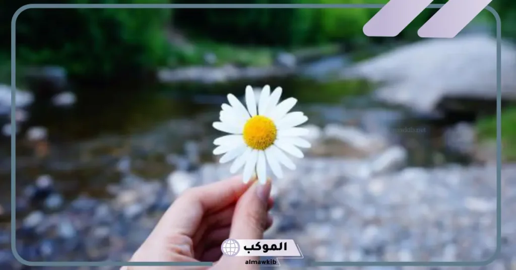 أجمل كلام عن الناس الطيبة وحكم رائعة عن الأشخاص الطيبين 6 الناس الطيبة في حياتنا رزق