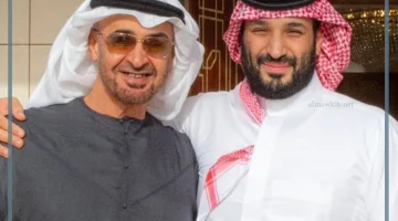 لقاء رئيس الإمارات بولي العهد