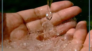 ماء زمزم في المنام للعزباء