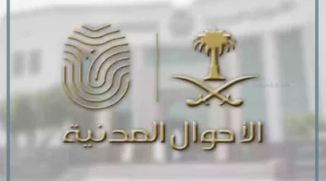 مدفوعات سداد