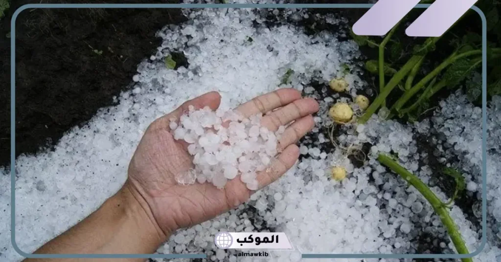 تفسير حلم أكل حبات البرد للمتزوجة