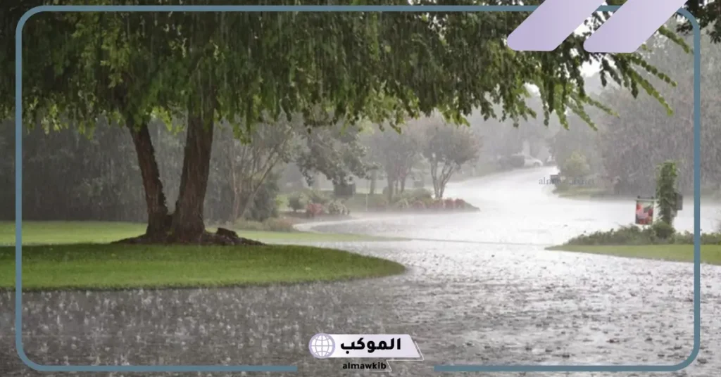 تفسير حلم نزول المطر الخفيف في المنام لابن سيرين 6 المشي تحت المطر الخفيف في المنام