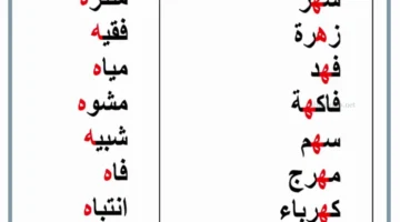 أبرز كلمات بحرف الهاء